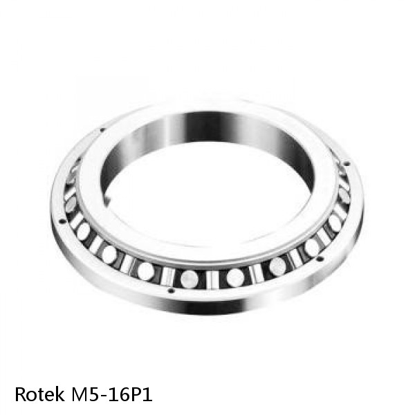 M5-16P1 Rotek Slewing Ring Bearings
