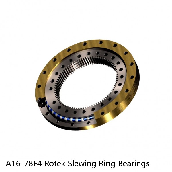A16-78E4 Rotek Slewing Ring Bearings