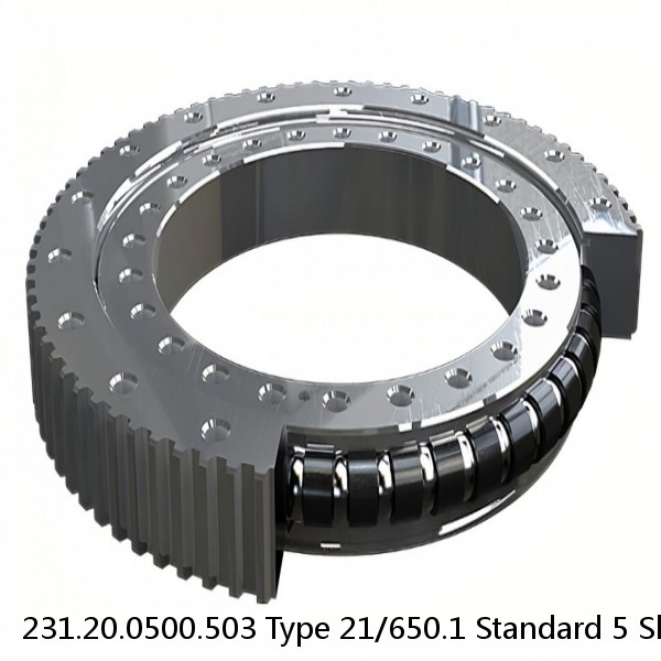 231.20.0500.503 Type 21/650.1 Standard 5 Slewing Ring Bearings