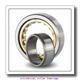 SKF RNAO 40x50x34 cylindrical roller bearings