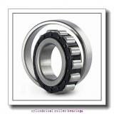 203,2 mm x 368,3 mm x 88,897 mm  NSK EE420801/421450 cylindrical roller bearings