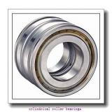 25,000 mm x 52,000 mm x 15,000 mm  NTN NJ205 cylindrical roller bearings