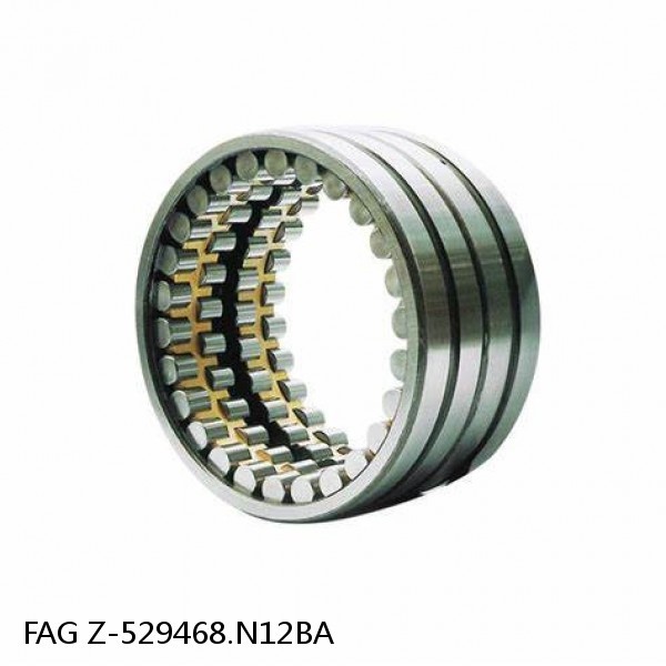 Z-529468.N12BA   FAG ROLL NECK BEARINGS for ROLLING MILL