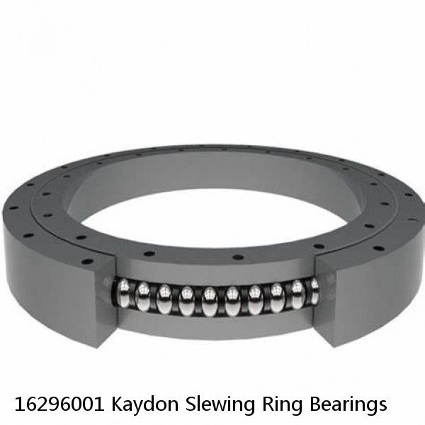 16296001 Kaydon Slewing Ring Bearings