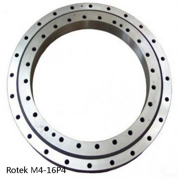 M4-16P4 Rotek Slewing Ring Bearings