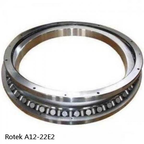 A12-22E2 Rotek Slewing Ring Bearings