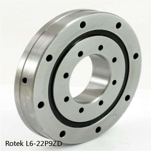 L6-22P9ZD Rotek Slewing Ring Bearings