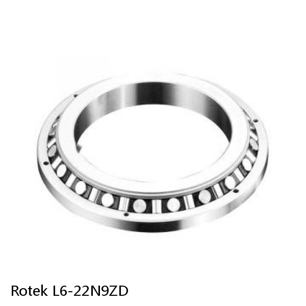 L6-22N9ZD Rotek Slewing Ring Bearings