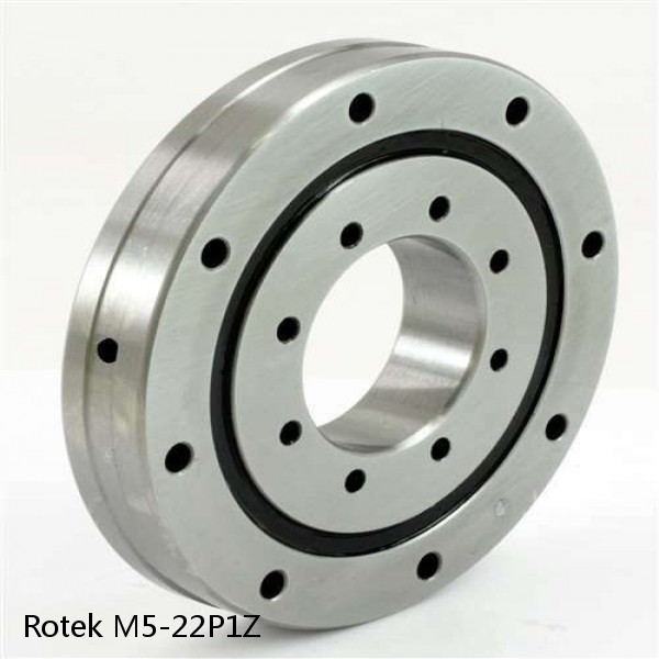 M5-22P1Z Rotek Slewing Ring Bearings