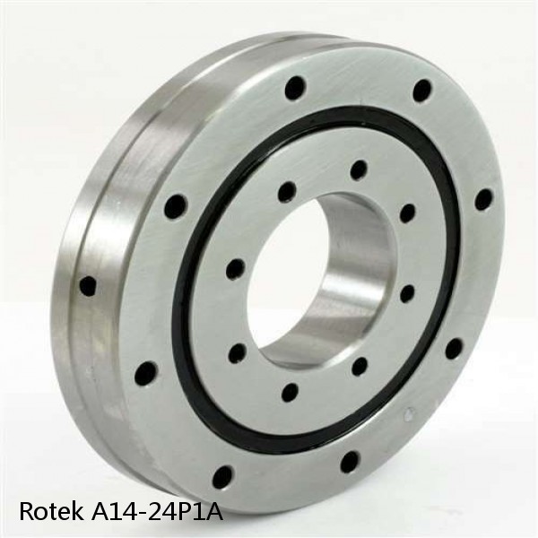 A14-24P1A Rotek Slewing Ring Bearings