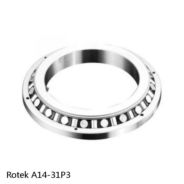 A14-31P3 Rotek Slewing Ring Bearings