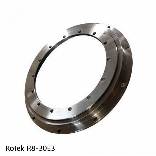 R8-30E3 Rotek Slewing Ring Bearings