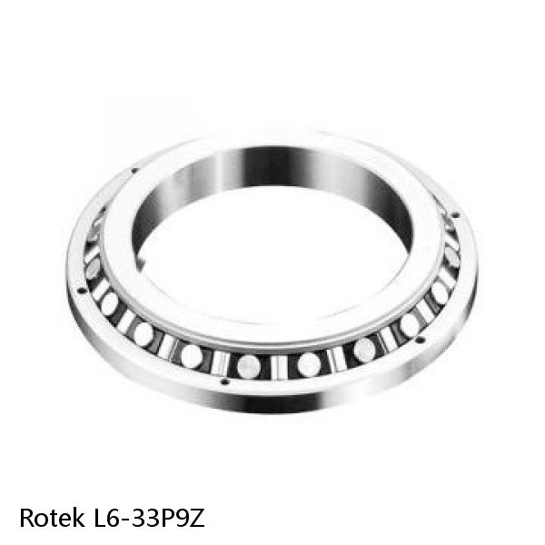 L6-33P9Z Rotek Slewing Ring Bearings