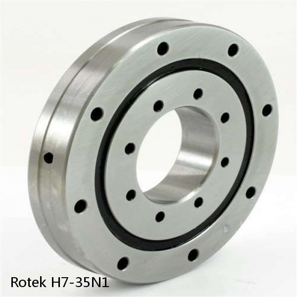 H7-35N1 Rotek Slewing Ring Bearings