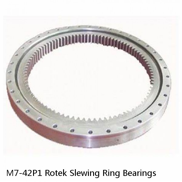 M7-42P1 Rotek Slewing Ring Bearings