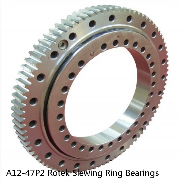 A12-47P2 Rotek Slewing Ring Bearings