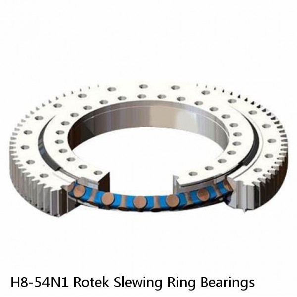 H8-54N1 Rotek Slewing Ring Bearings