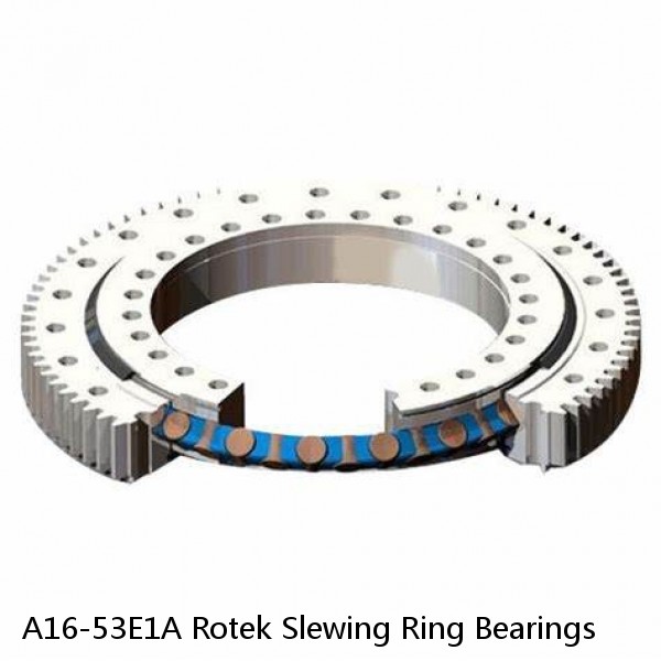 A16-53E1A Rotek Slewing Ring Bearings