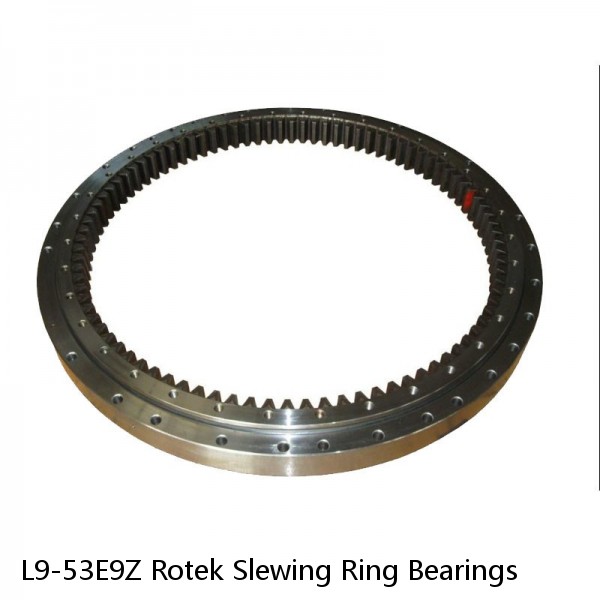 L9-53E9Z Rotek Slewing Ring Bearings