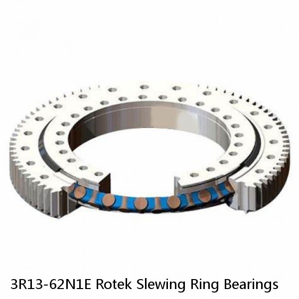 3R13-62N1E Rotek Slewing Ring Bearings