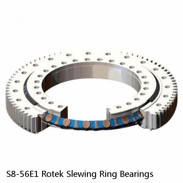 S8-56E1 Rotek Slewing Ring Bearings