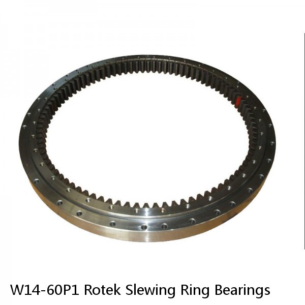 W14-60P1 Rotek Slewing Ring Bearings