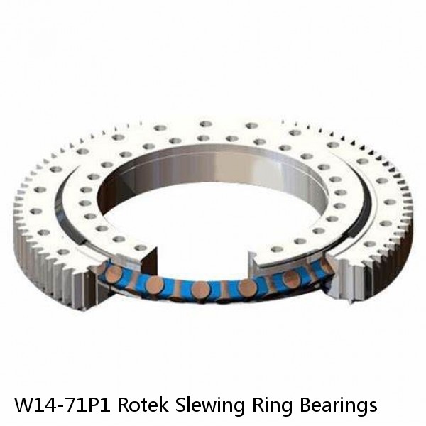 W14-71P1 Rotek Slewing Ring Bearings