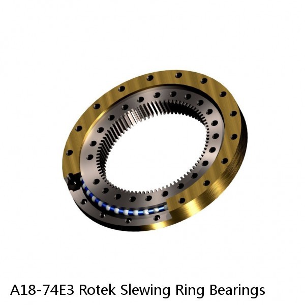 A18-74E3 Rotek Slewing Ring Bearings