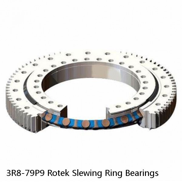 3R8-79P9 Rotek Slewing Ring Bearings