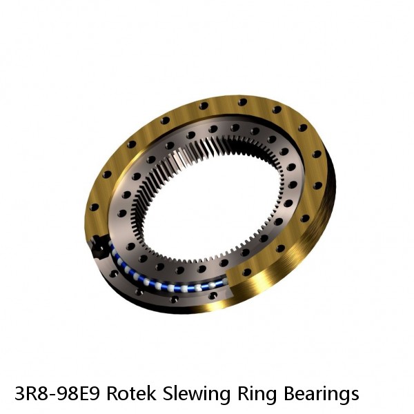 3R8-98E9 Rotek Slewing Ring Bearings