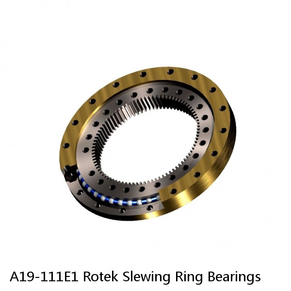 A19-111E1 Rotek Slewing Ring Bearings