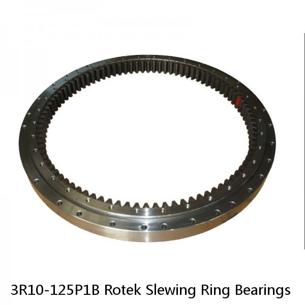 3R10-125P1B Rotek Slewing Ring Bearings