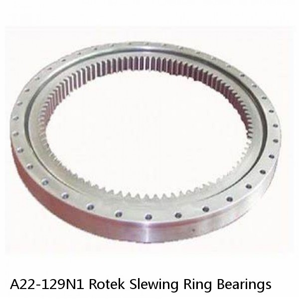 A22-129N1 Rotek Slewing Ring Bearings