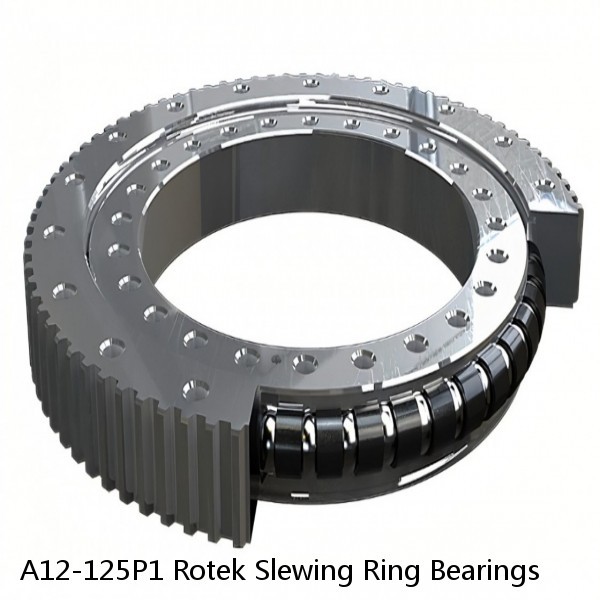 A12-125P1 Rotek Slewing Ring Bearings