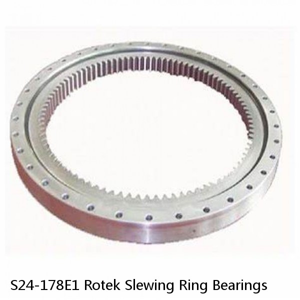 S24-178E1 Rotek Slewing Ring Bearings