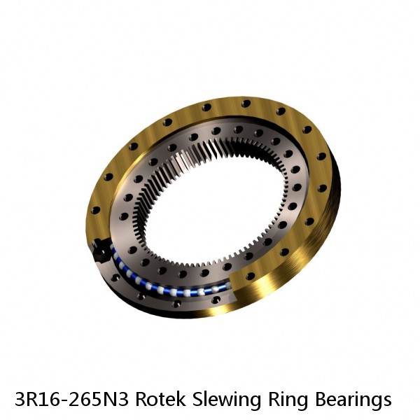 3R16-265N3 Rotek Slewing Ring Bearings