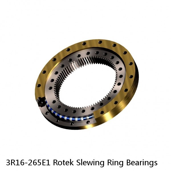 3R16-265E1 Rotek Slewing Ring Bearings