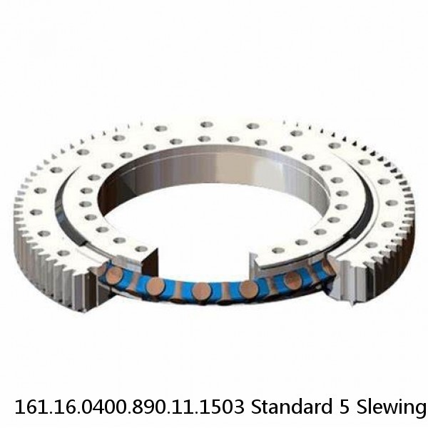 161.16.0400.890.11.1503 Standard 5 Slewing Ring Bearings