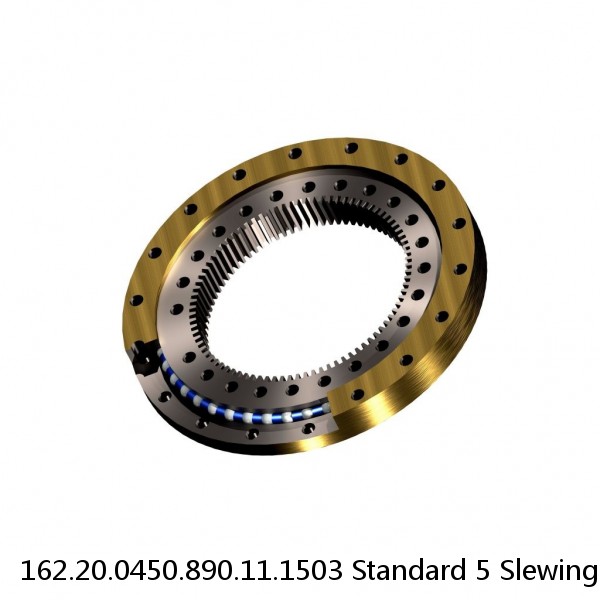 162.20.0450.890.11.1503 Standard 5 Slewing Ring Bearings