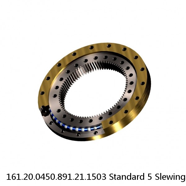 161.20.0450.891.21.1503 Standard 5 Slewing Ring Bearings