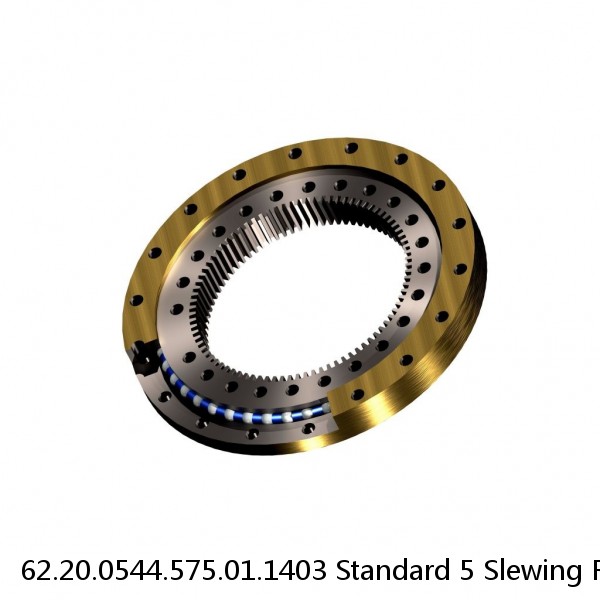 62.20.0544.575.01.1403 Standard 5 Slewing Ring Bearings