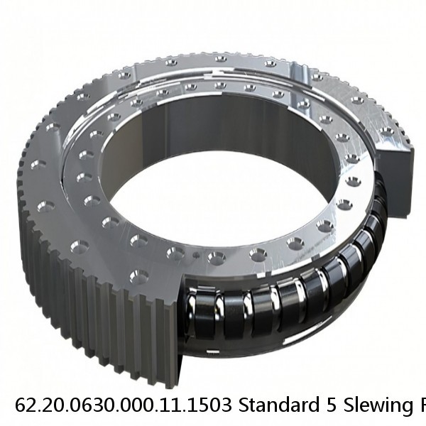 62.20.0630.000.11.1503 Standard 5 Slewing Ring Bearings