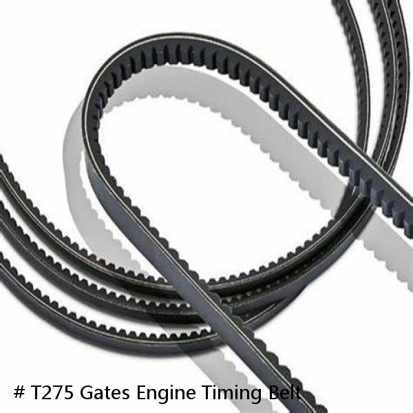 # T275 Gates Engine Timing Belt